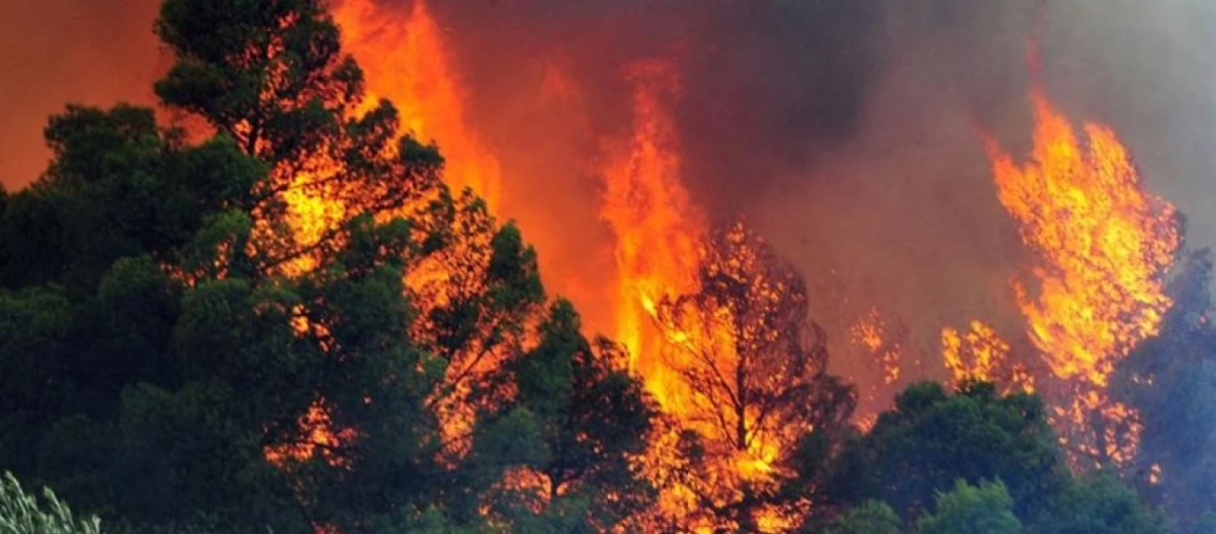 Φωτιά στο Βρωμοπούσι Κερατέας -Δεν απειλούνται σπίτια